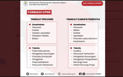 Jadwal CPNS 2021, Dokumen yang Harus Dipersiapkan, dan Formasi yang Paling Banyak Dibutuhkan